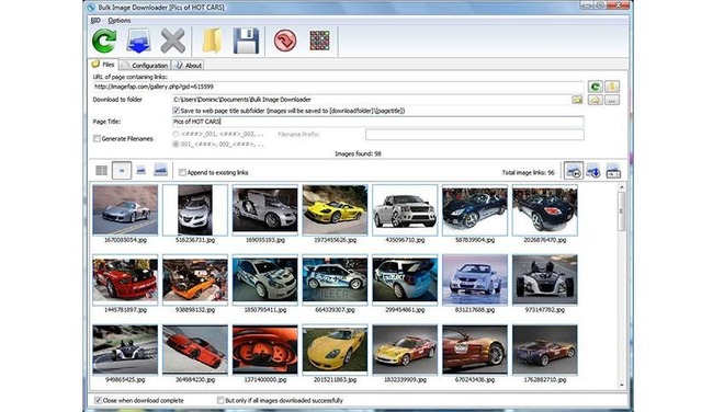 Bulk Image Downloader 1