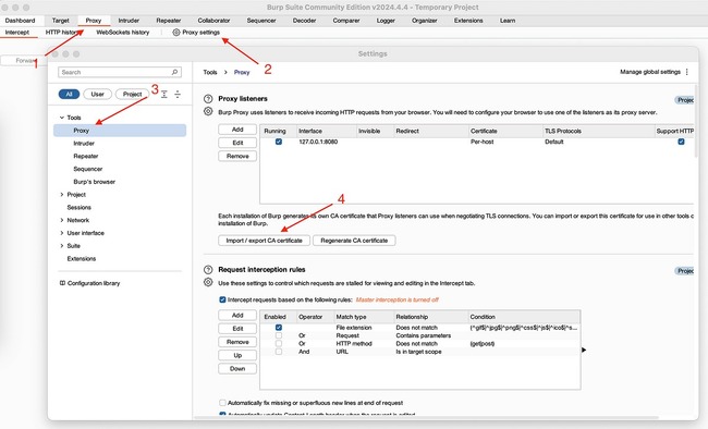 Burp Suite Professional 2024.7.5 2